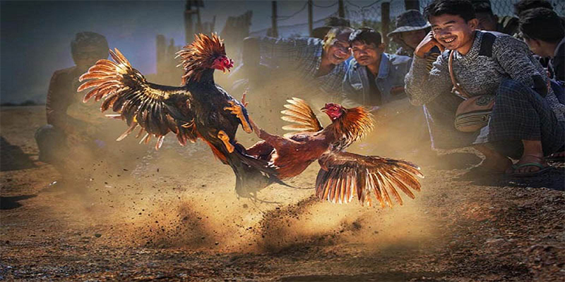 90phut chơi bắn cá đổi thưởng