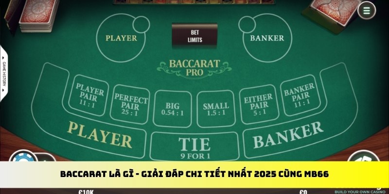90phut gà chọi cu cần