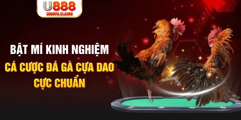 90phut tỷ lệ cá cược châu á là gì