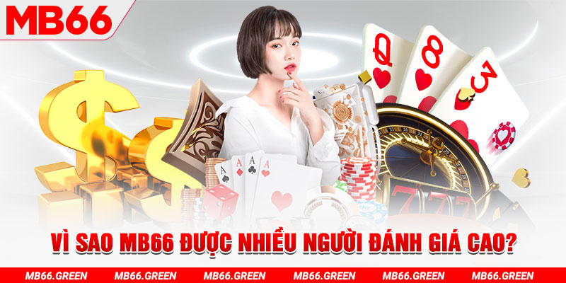90phut đá gà