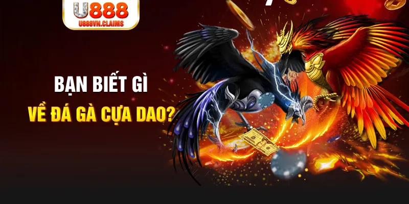 90phut nổ hủ là gì