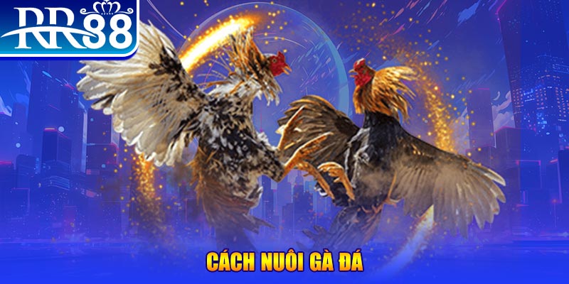 90phut xổ số an giang
