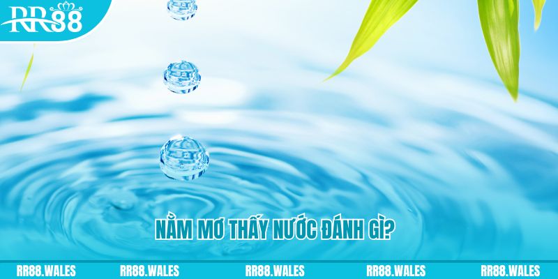 90phut TP Bắn cá