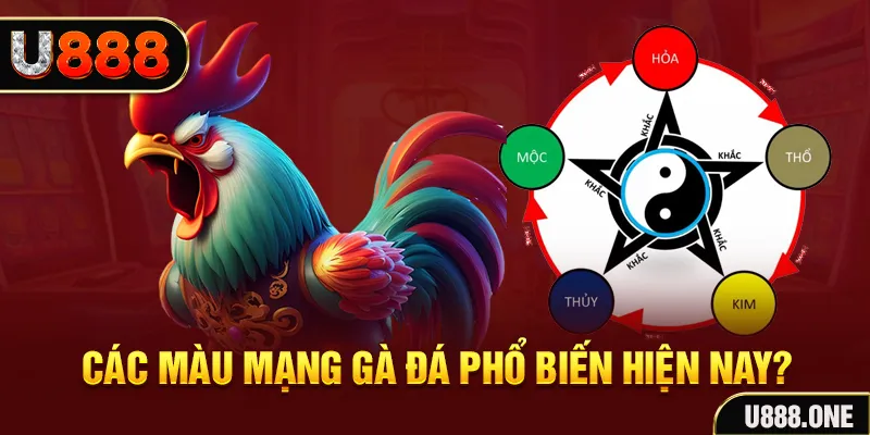 90phut trực tiếp đá gà 88