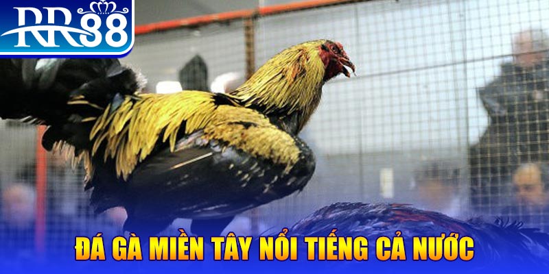 90phut JILI Game Bài 3d