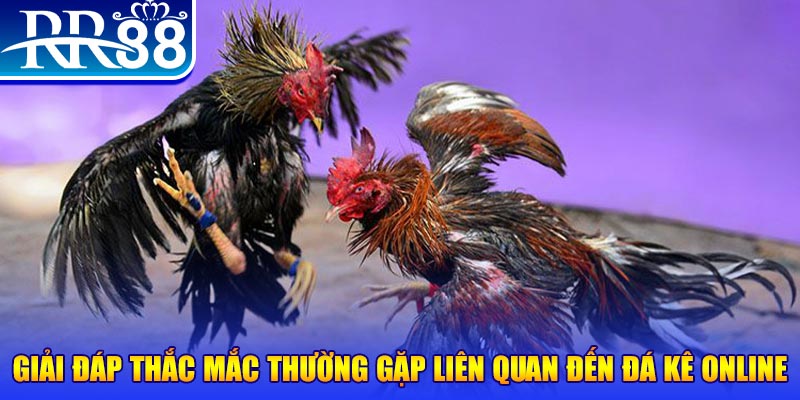 90phut xổ số đà lạt