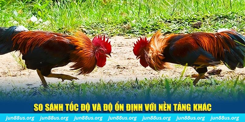 90phut đá gà hôm nay