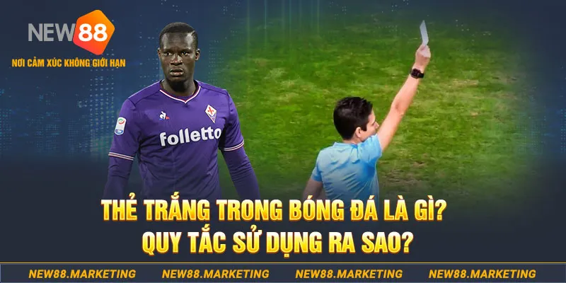 90phut gà chọi mộc hóa