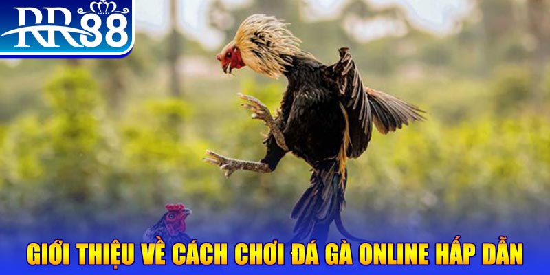 90phut game nổ hũ rút tiền mặt là gì