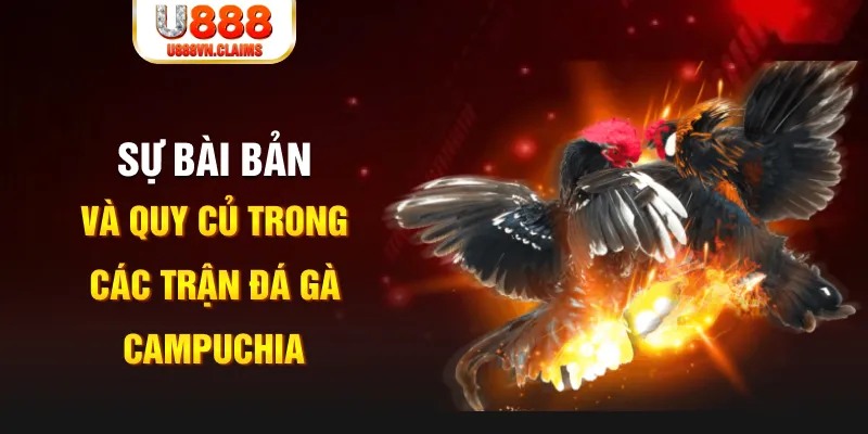 90phut YGR Điện Tử