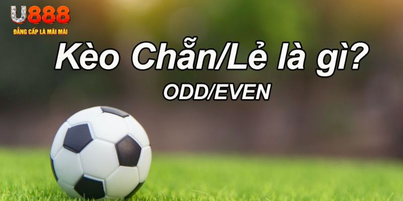 90phut đăng nhập poker hôm nay