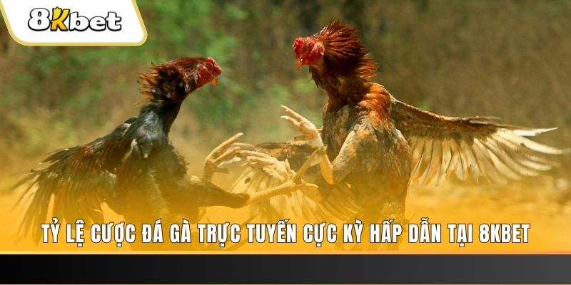 90phut xổ số trực tiếp miền bắc