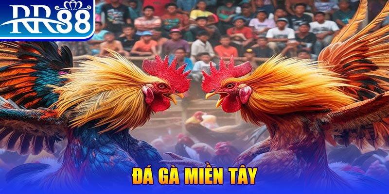 90phut chơi slot là gì