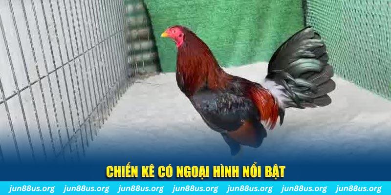 90phut chạy quảng cáo cho game bài bị phạt như thế nào