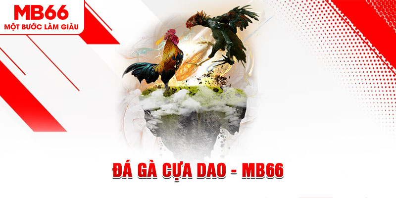 90phut đá gà sv388 gold