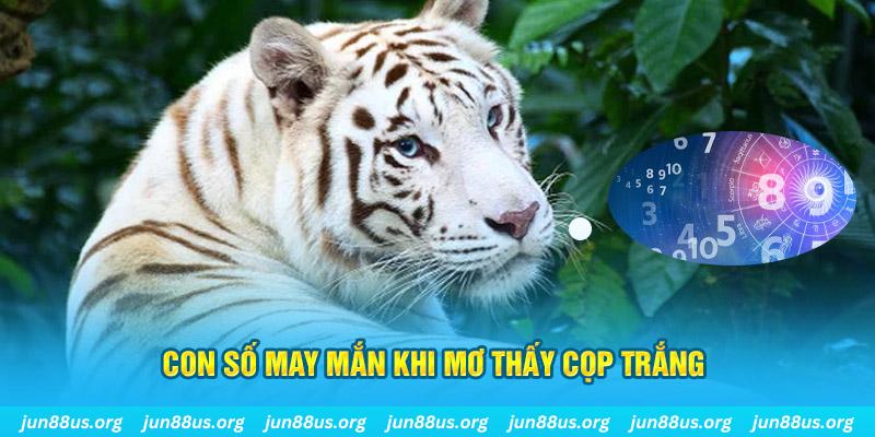 90phut đá gà trực tiếp 88
